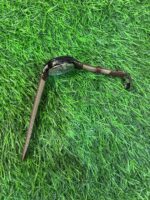 F🔥ssil Townsman Automatic leather belt Watch - Image 3