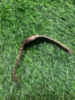 C🔥lvin Kl🔥in Rose Gold & Green watch for Women's - Image 3