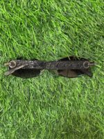 D🔥or Crystal Embellished Unisex Sunglasses - Image 2