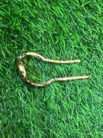 M🔥ch🔥el K🔥rs Rose Gold Watch for Women's - Image 5