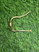 M🔥ch🔥el K🔥rs Rose Gold Watch for Women's - Image 2