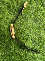 H🔥bl🔥t green belt rose dial automatic watch for men - Image 3